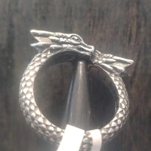 Stainless Steel 2 head Dragon Ring